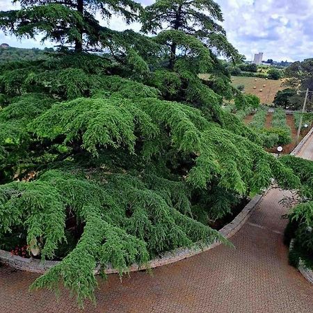 Appartamento Casina Foggia Dell'Albero Putignano Esterno foto