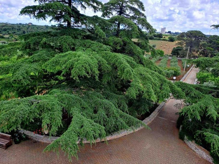 Appartamento Casina Foggia Dell'Albero Putignano Esterno foto